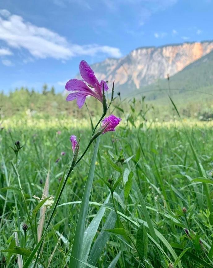 Ferienhaus Auszeit Natur Villach Kültér fotó