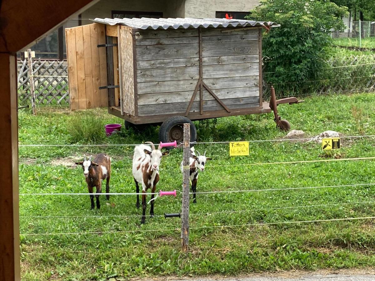 Ferienhaus Auszeit Natur Villach Kültér fotó